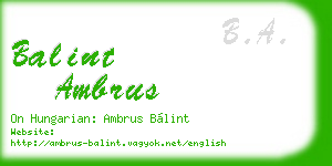 balint ambrus business card