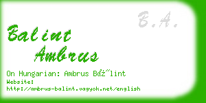 balint ambrus business card